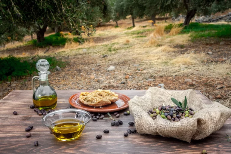 Cuenco y botella con aceite de oliva virgen extra, aceitunas, una rama fresca de olivo y cretan rusk dakos sobre mesa de madera, en un campo de olivos en Creta, Grecia.